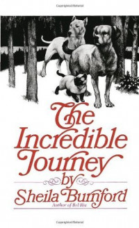 The Incredible Journey ; Perjalanan Pulang